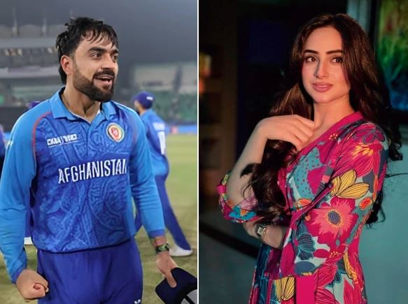 actress anaya khan,cricketer rashid khan