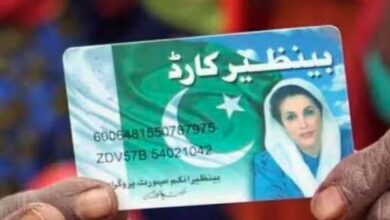 benazir income support program
