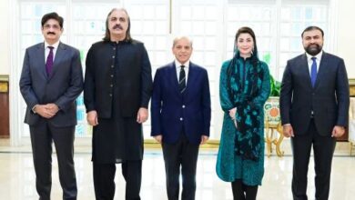 cm,s with pm shebaz sharief