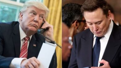 elon musk amd trump