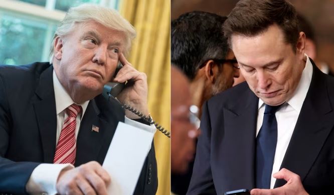 elon musk amd trump