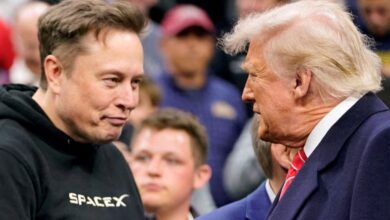 elon musk,president trump