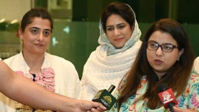 ex cricketer sana mir
