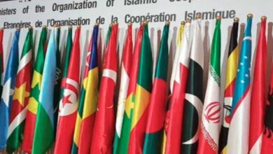 flags of muslim countries