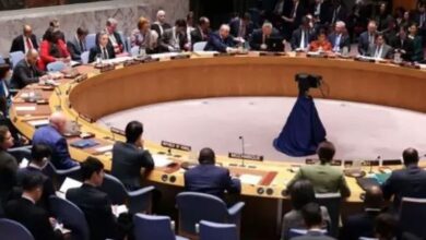 pakistan, security council