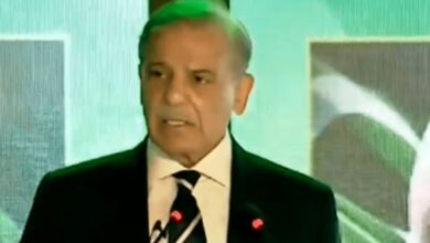 pm shebaz sharief