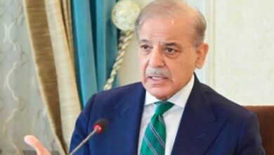 pm shebaz sharief