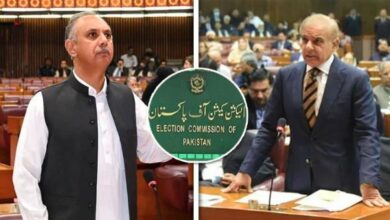 pm shebaz sharief,umar ayoub