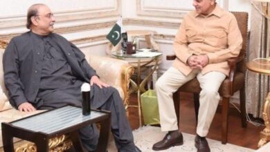 president asif ali zardari,pm shebaz sharief
