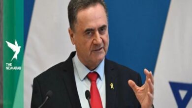 Israeli Defense Minister Israel Katz