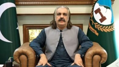 ali ameen gandapur