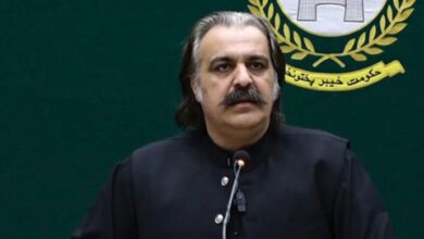 ali ameen gandapur