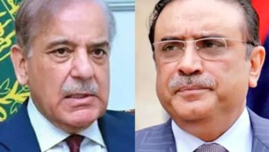 asif ali zardari,pm shebaz sharief