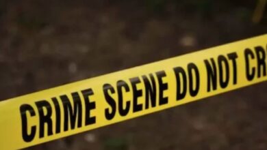 crime news