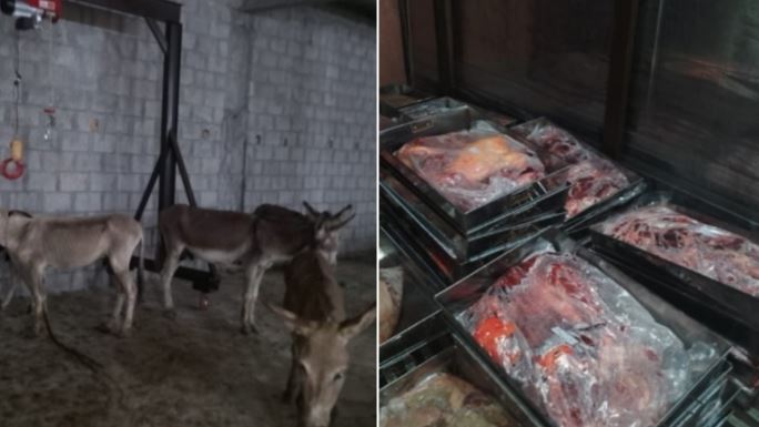 donky meet sale