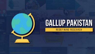 gallup serway report