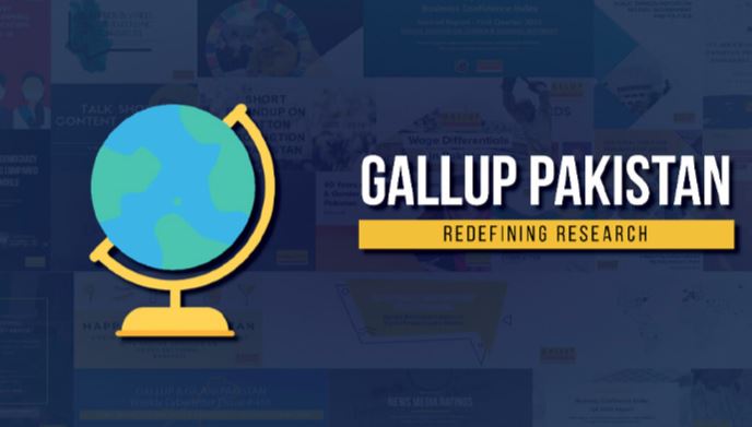 gallup serway report