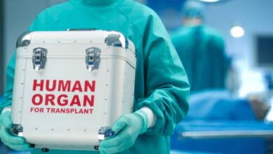 human organ