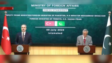 ishaq dar and truk wazeer