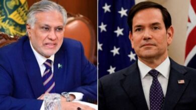 ishaq dar meet with US Secretary of State