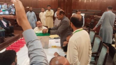 kp senat election