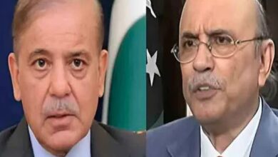 pm shebaz sharief,president asif ali zardari