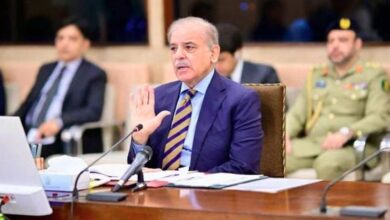 pm shehbaz sharif cabinet meeting