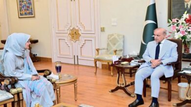 shahbaz sharif and afia sadiqque