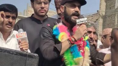 zulfiqar ali bhutto jr