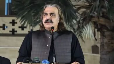 ali ameen gandapur