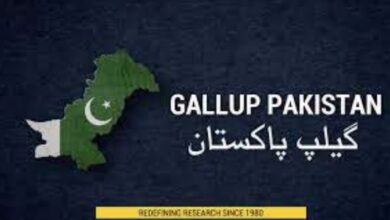 gallup survey pakistan