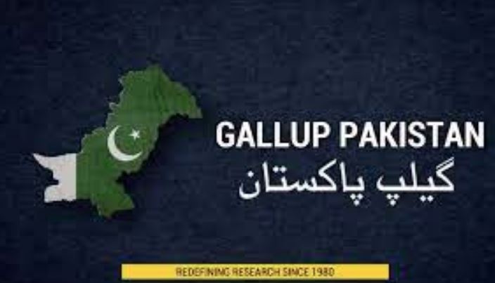 gallup survey pakistan