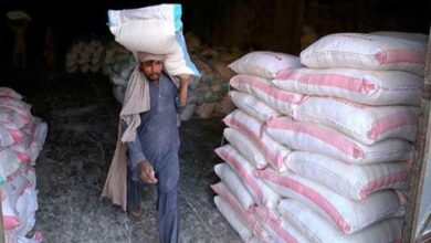 Flour price