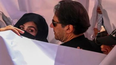 imran khan and bushra bibi