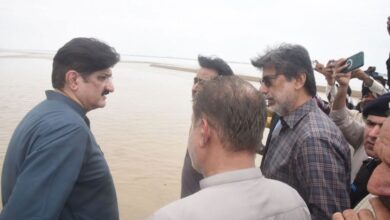 murad ali shah and gudu beragies