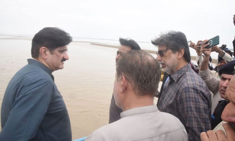 murad ali shah and gudu beragies