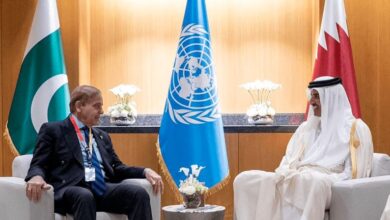shahbaz sharif meeting with ameer qatar