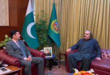 ali ameen gandapur and faisal kareem kundi