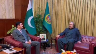 ali ameen gandapur and faisal kareem kundi