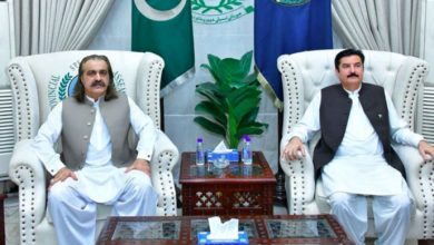 faisal kareem kundi and ali ameen