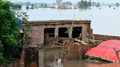 flood in punjab