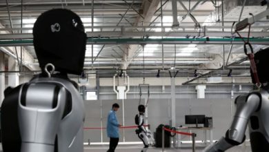 rebots in china