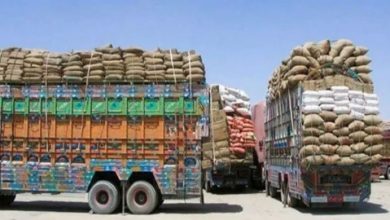 wheat and flour news