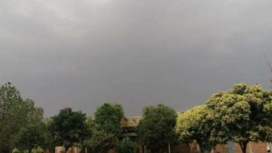 Meteorological Department