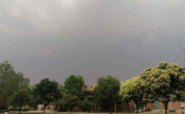 Meteorological Department