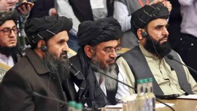 australvi government