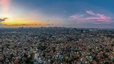 indonesian beet tokyo