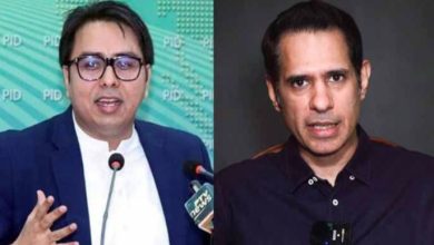 shahzad iqbal react to shahbaz gill