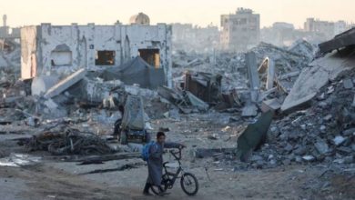 un report about phalsteen