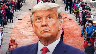 Trump's offer to illegal immigrants